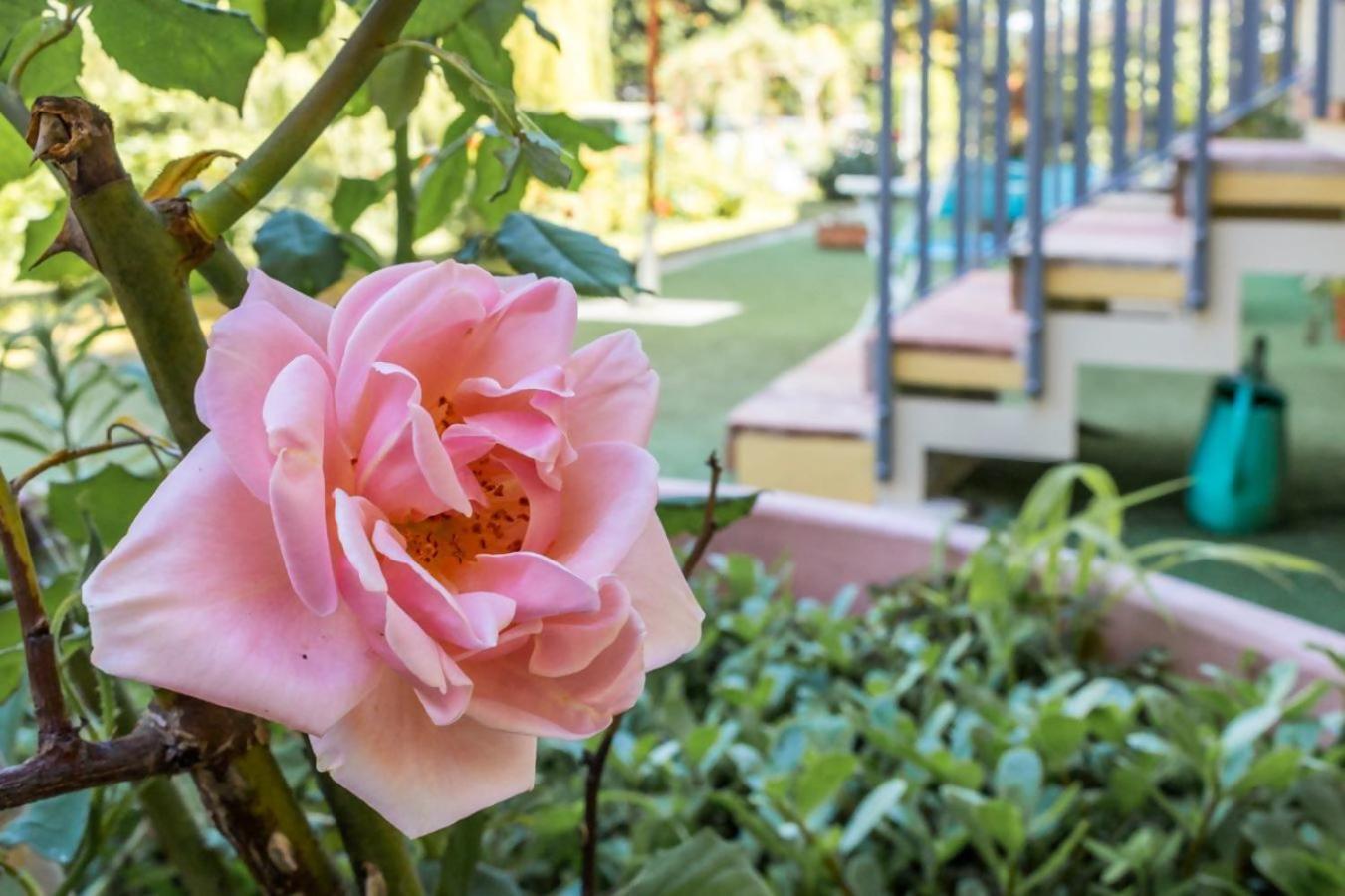 Apartmán R37 Casa Tamarina Numana Exteriér fotografie
